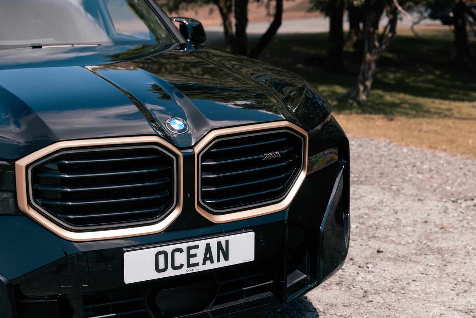 Ocean BMW XM.